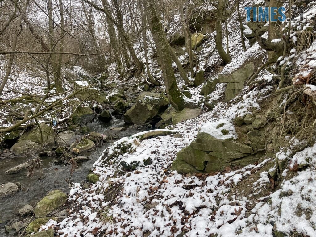 Берега Кам’янки у Житомирі: водоспад Коденка місцеві перетворили на смітник (ФОТО)