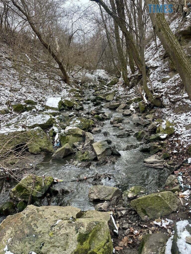 Берега Кам’янки у Житомирі: водоспад Коденка місцеві перетворили на смітник (ФОТО)