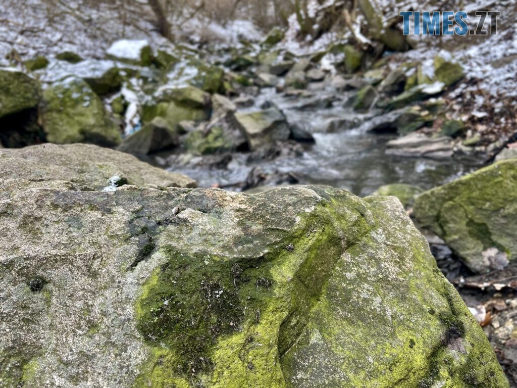 Берега Кам’янки у Житомирі: водоспад Коденка місцеві перетворили на смітник (ФОТО)