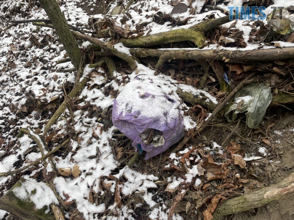 Берега Кам’янки у Житомирі: водоспад Коденка місцеві перетворили на смітник (ФОТО)