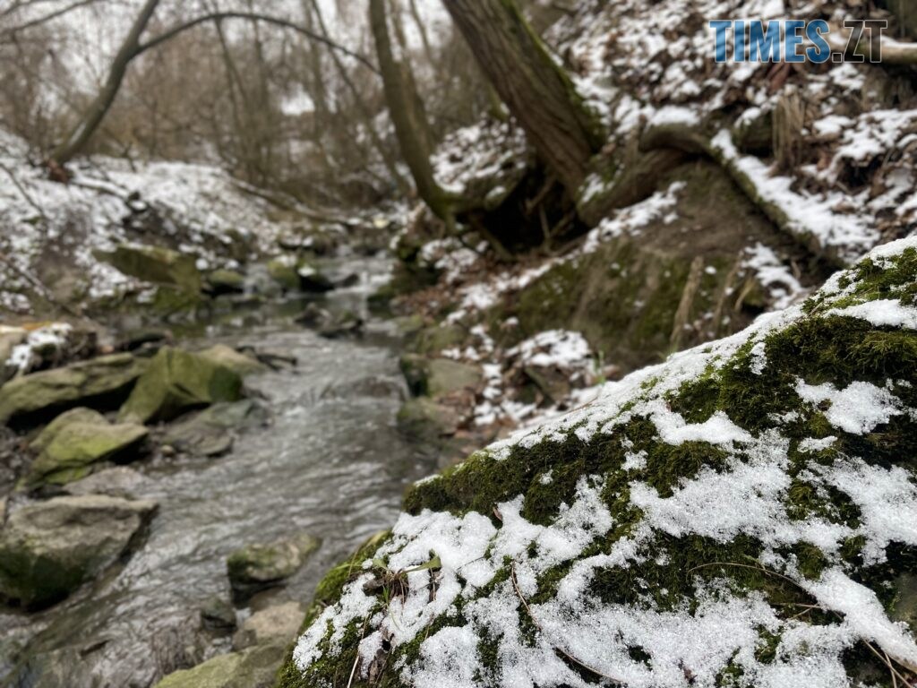 Берега Кам’янки у Житомирі: водоспад Коденка місцеві перетворили на смітник (ФОТО)