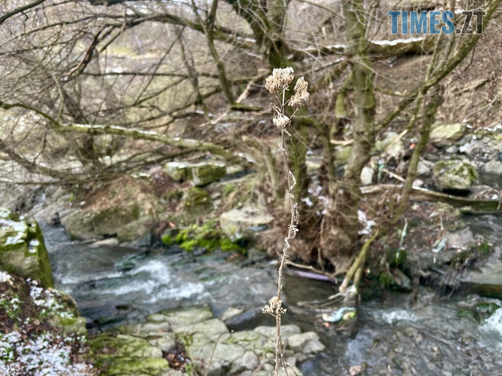 Берега Кам’янки у Житомирі: водоспад Коденка місцеві перетворили на смітник (ФОТО)