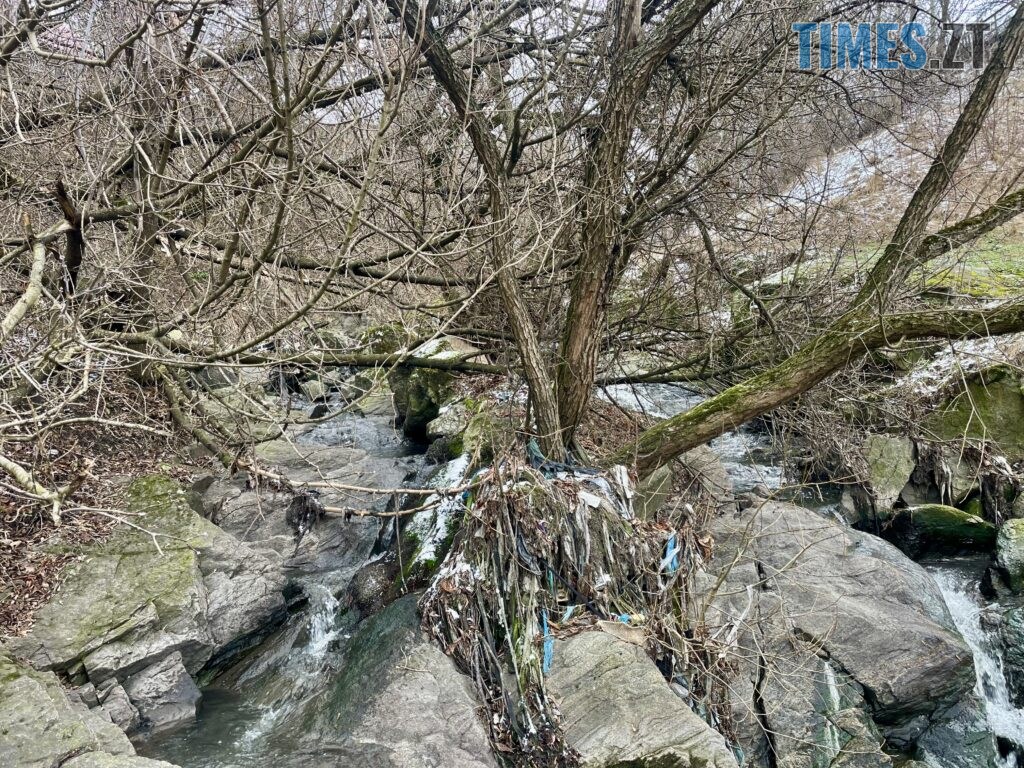 Берега Кам’янки у Житомирі: водоспад Коденка місцеві перетворили на смітник (ФОТО)