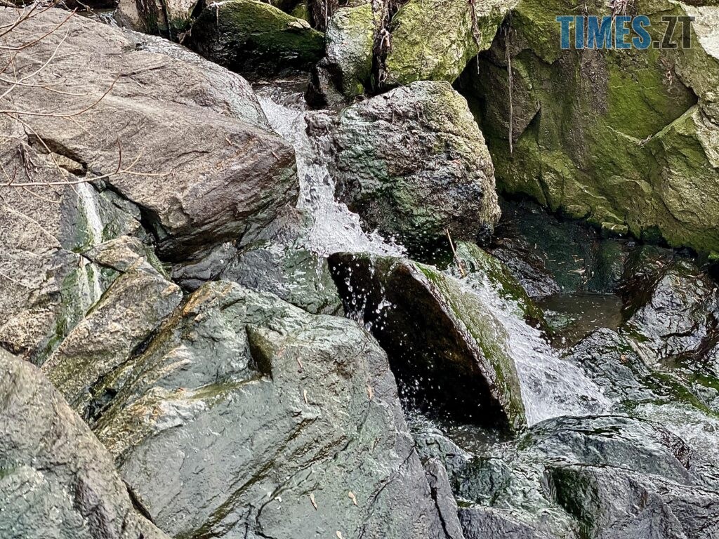 Берега Кам’янки у Житомирі: водоспад Коденка місцеві перетворили на смітник (ФОТО)