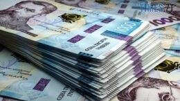На Житомирщині перед судом через службову недбалість, що призвела до збитків у 625 тис. грн, постане головбух медоб`єднання