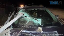 В результаті ДТП на Коростенщині постраждало двоє людей