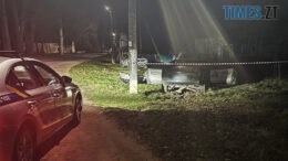 У ДТП в Житомирському районі постраждала місцева мешканка