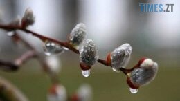 Дощі та температурні перепади: якою погодою порадує мешканців Житомирщини перший тиждень квітня