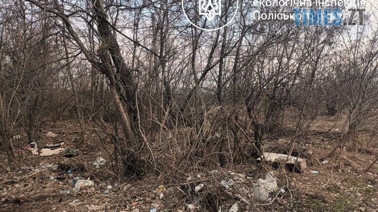 Поблизу Сінгурів екологи виявили несанкціоновані сміттєзвалища