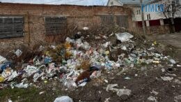 На Крошні у Житомирі екологи виявили стихійне сміттєзвалище