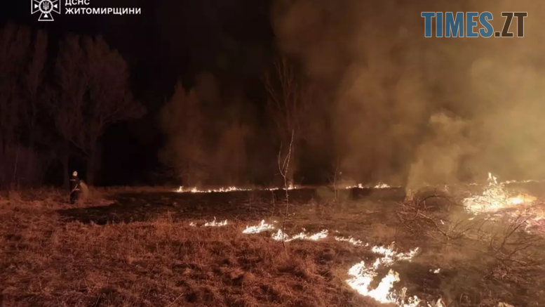 За останню добу через займання сухостою на Житомирщині вигоріло понад 117 гектарів землі