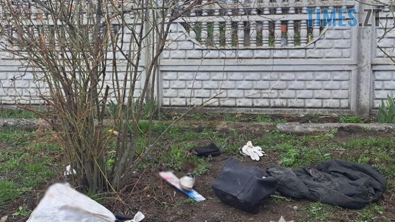 Житомирщина у вогні: через суху та вітряну погоду у регіоні фіксують масштабні пожежі в екосистемах