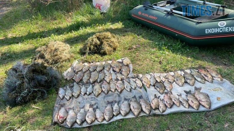 Екологи виявили на Житомирщині факт незаконного рибальств, внаслідок якого було завдано понад 250 тис. грн збитків