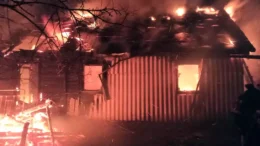 У пожежі на Звягельщині загинув чоловік