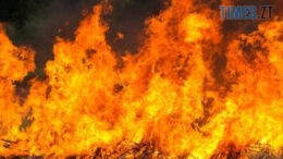 Лише за минулу добу у пожежах на Житомирщині загинуло двоє людей