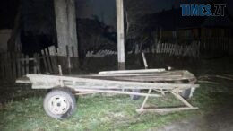 На Коростенщині жінка на возі влетіла у електроопору: подробиці трагедії