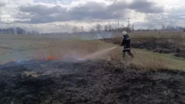 На Житомирщині продовжують фіксувати загоряння сухостою, навіть попри зимову погоду