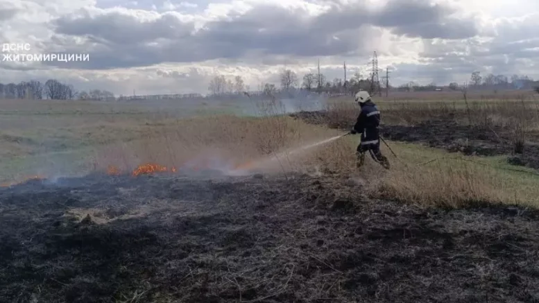 На Житомирщині продовжують фіксувати загоряння сухостою, навіть попри зимову погоду
