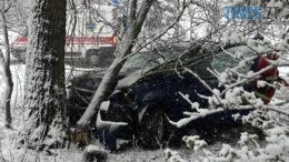 Смертельна ДТП на Ружинщині: легковик на швидкості влетів у дерево