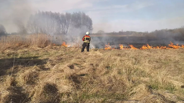 Житомирщина у вогні: через суху та вітряну погоду у регіоні фіксують масштабні пожежі в екосистемах
