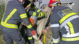 У Скоморохах бійці ДСНС врятували чоловіка, який впав у криницю