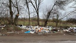 Екологи виявили у Житомирі два несанкціоновані сміттєзвалища