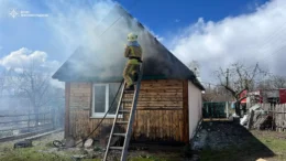 На Коростенщині надзвичайники врятували приватне домоволодіння від знищення вогнем