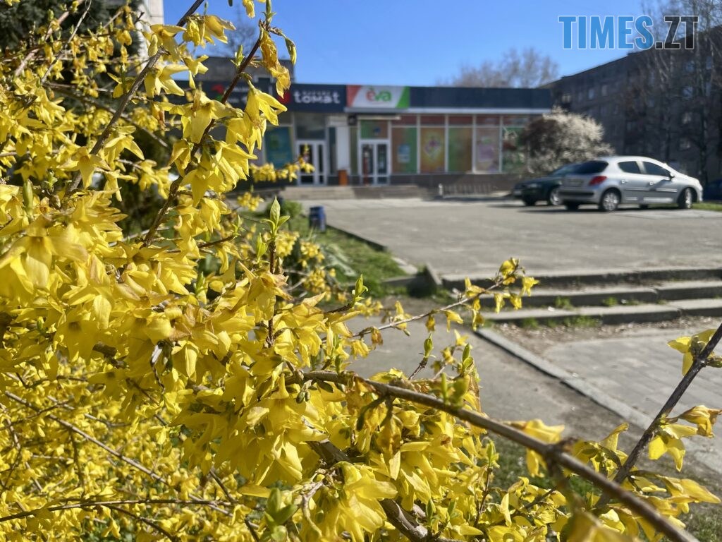 Житомир: весна – у розквіті (ФОТОРЕПОРТАЖ)