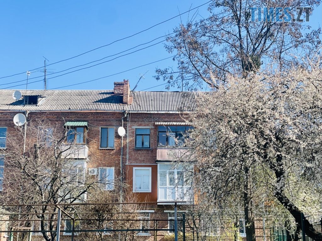 Житомир: весна – у розквіті (ФОТОРЕПОРТАЖ)