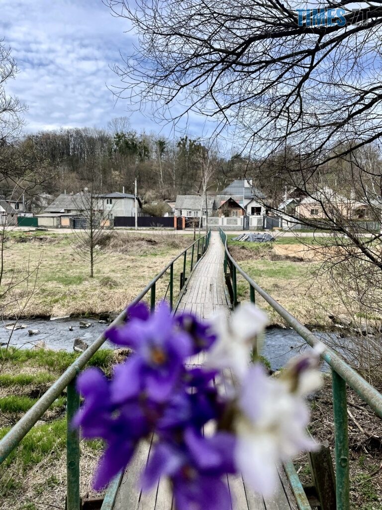 Житомир: весна – у розквіті (ФОТОРЕПОРТАЖ)