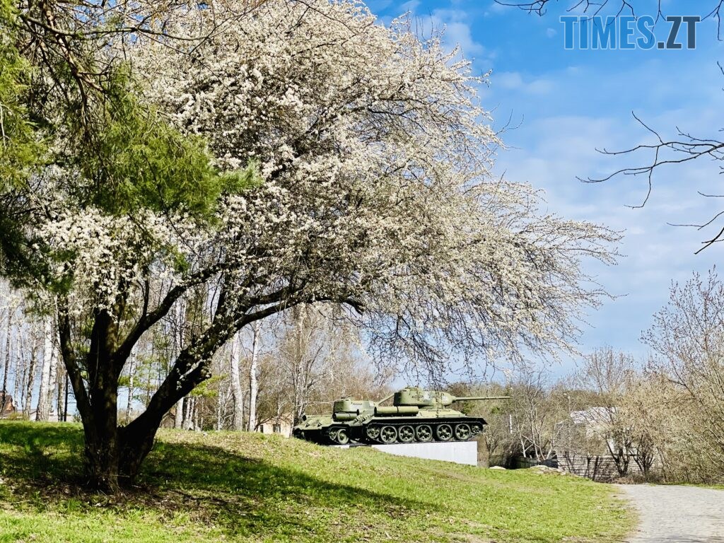 Житомир: весна – у розквіті (ФОТОРЕПОРТАЖ)