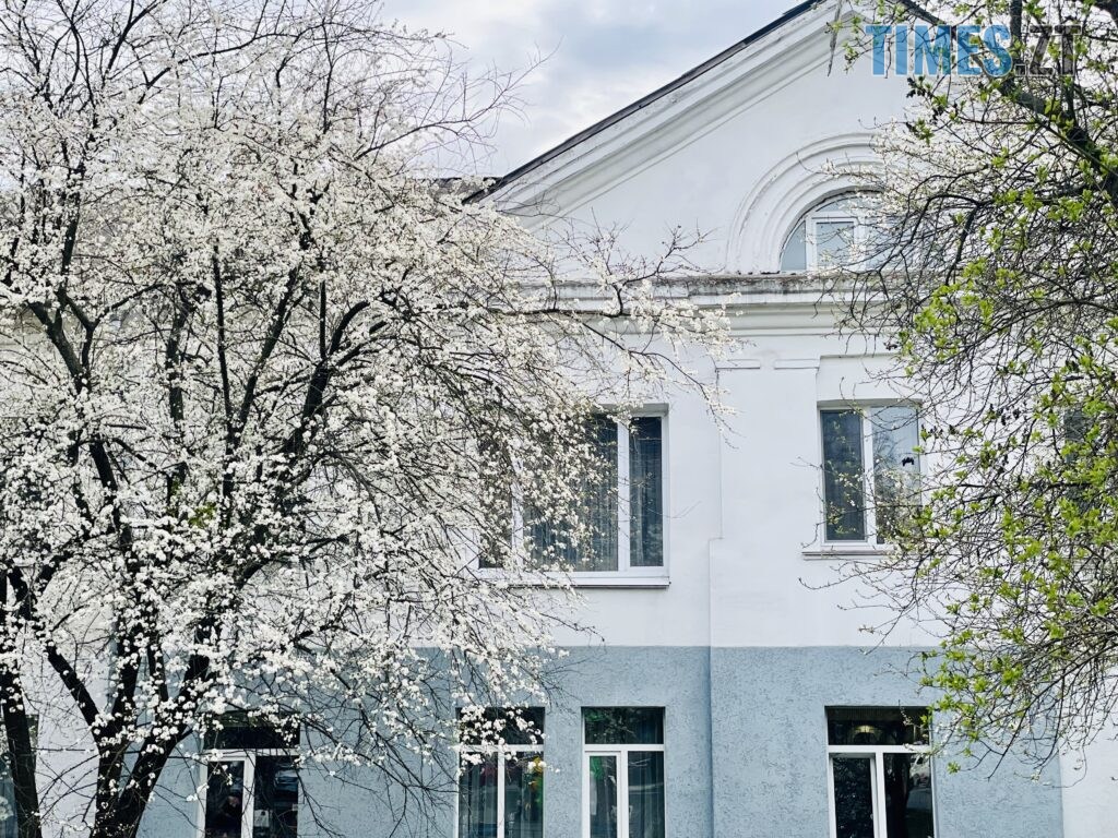 Житомир: весна – у розквіті (ФОТОРЕПОРТАЖ)