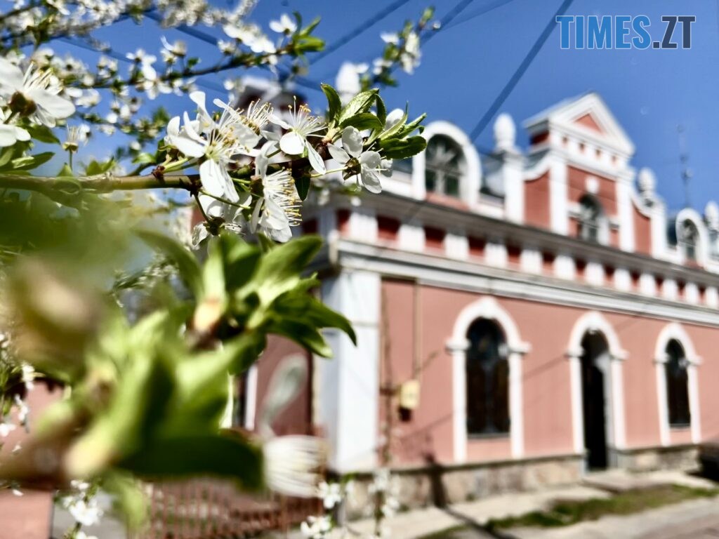 Житомир: весна – у розквіті (ФОТОРЕПОРТАЖ)