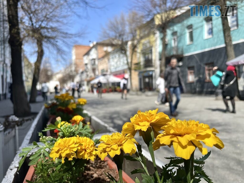 Житомир: весна – у розквіті (ФОТОРЕПОРТАЖ)