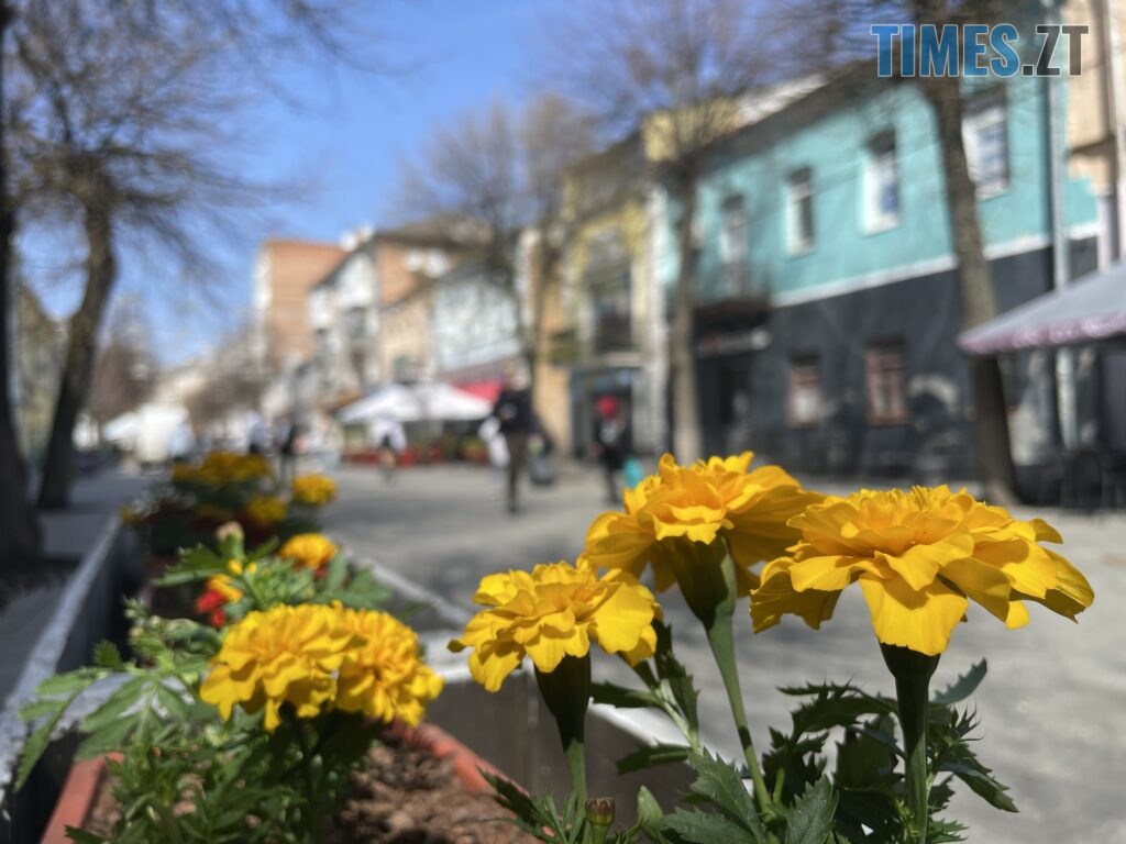 Житомир: весна – у розквіті (ФОТОРЕПОРТАЖ)