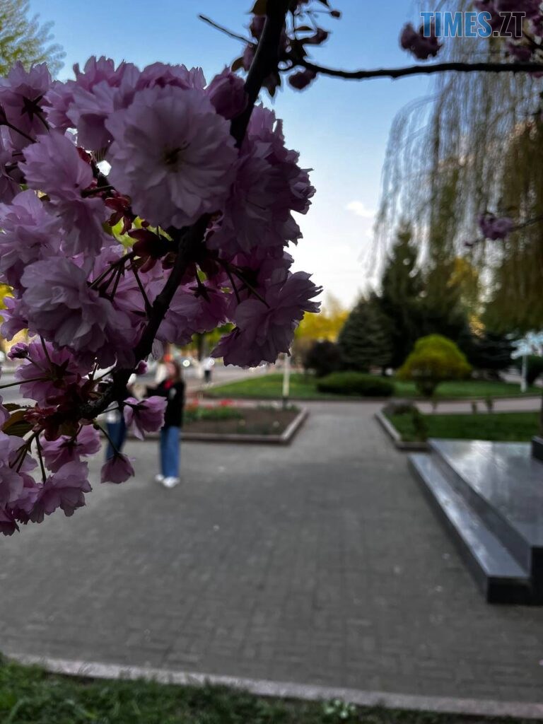 Житомир: весна – у розквіті (ФОТОРЕПОРТАЖ)