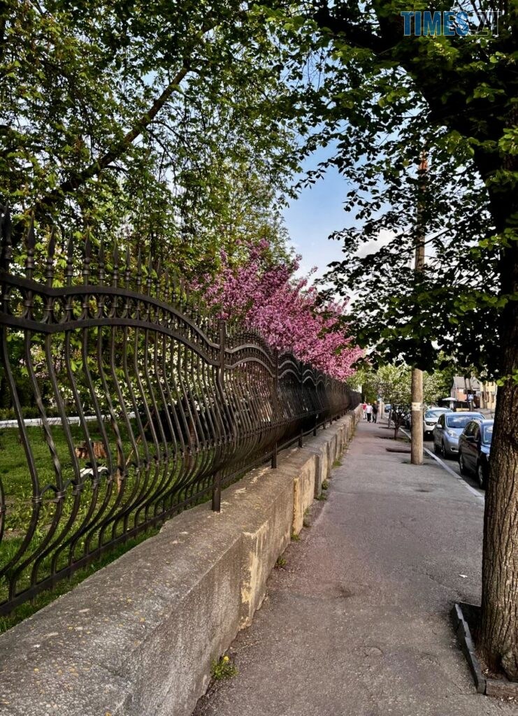 Житомир: весна – у розквіті (ФОТОРЕПОРТАЖ)