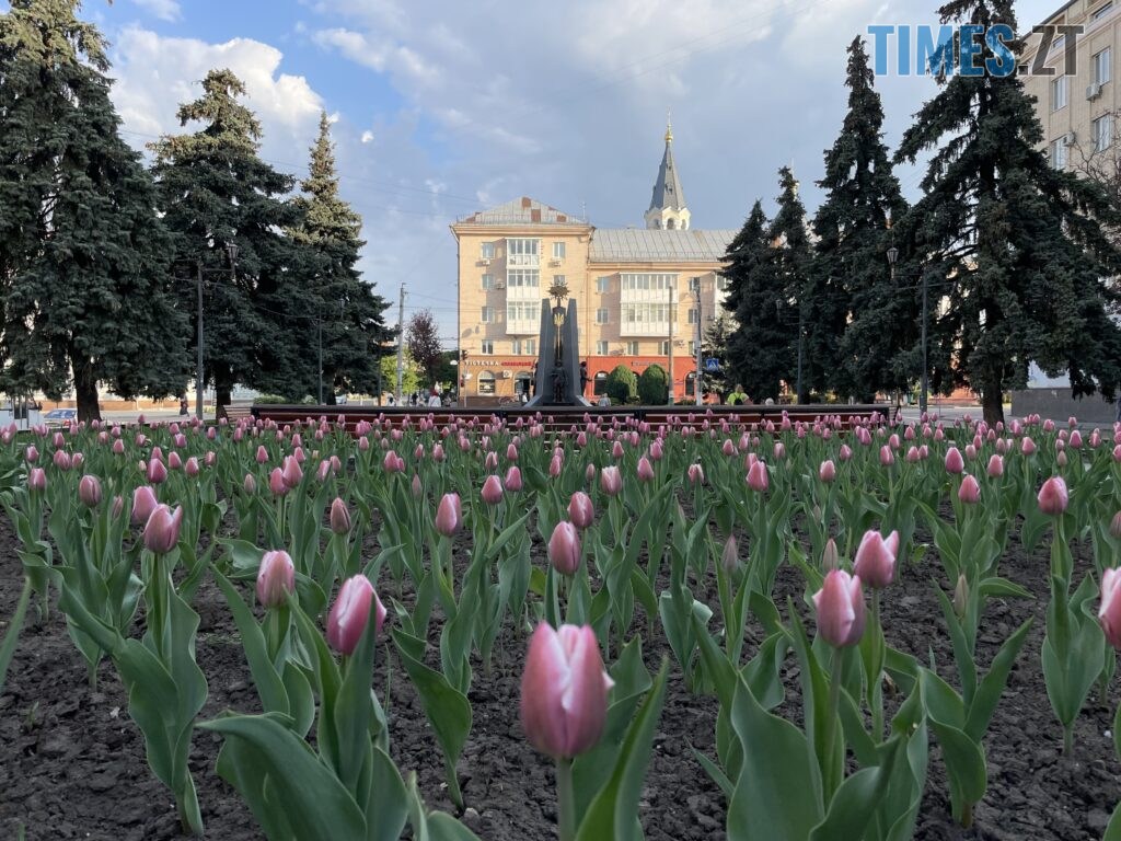 Житомир: весна – у розквіті (ФОТОРЕПОРТАЖ)