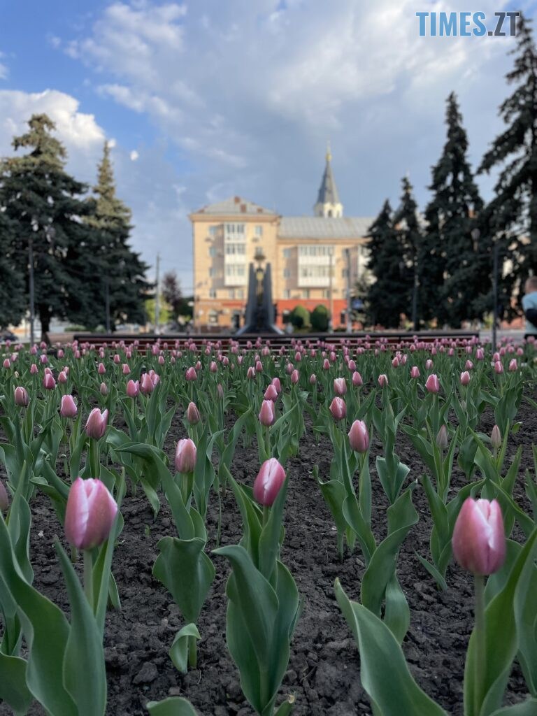 Житомир: весна – у розквіті (ФОТОРЕПОРТАЖ)