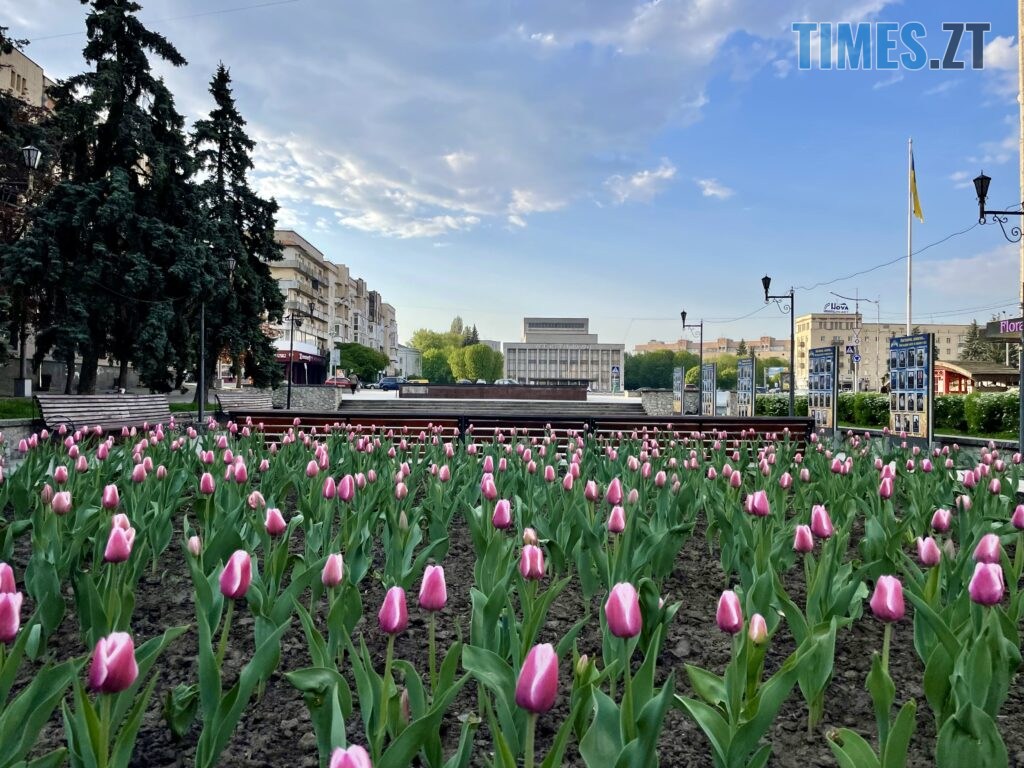Житомир: весна – у розквіті (ФОТОРЕПОРТАЖ)