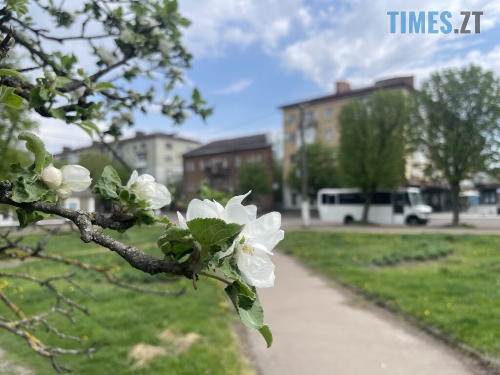 Житомир: весна – у розквіті (ФОТОРЕПОРТАЖ)