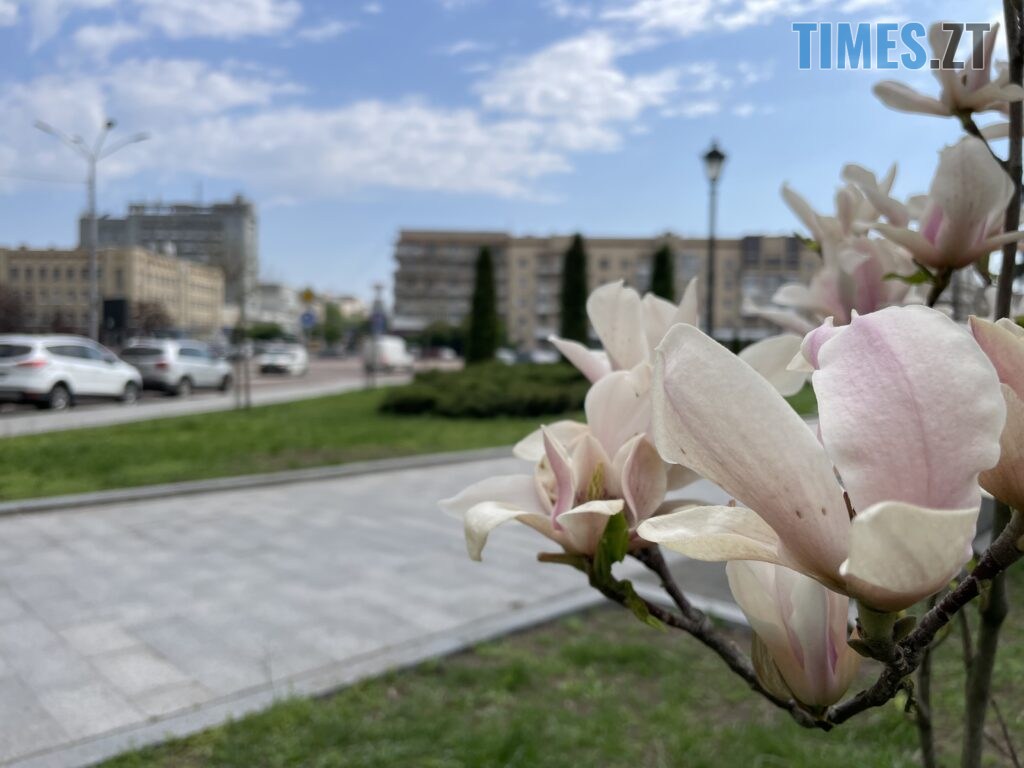 Житомир: весна – у розквіті (ФОТОРЕПОРТАЖ)