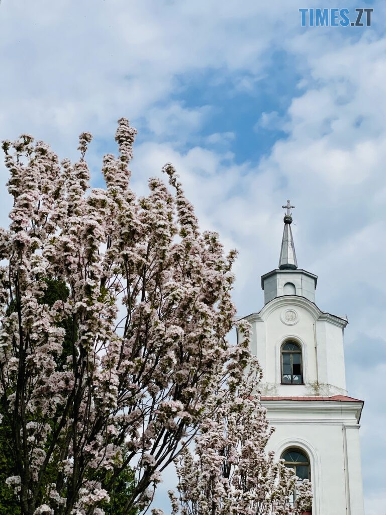 Житомир: весна – у розквіті (ФОТОРЕПОРТАЖ)