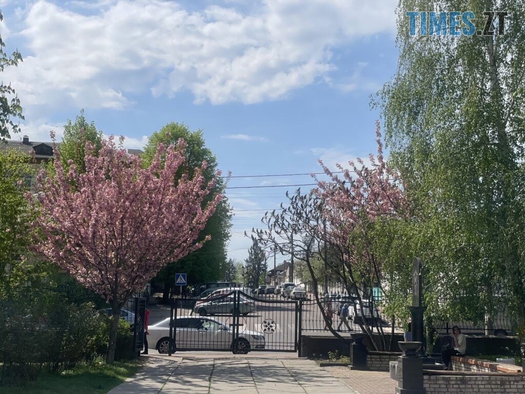 Житомир: весна – у розквіті (ФОТОРЕПОРТАЖ)