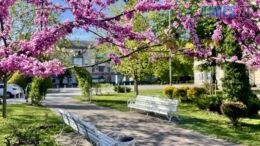 Житомир: весна - у розквіті