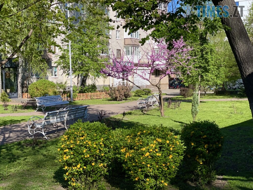 Житомир: весна – у розквіті (ФОТОРЕПОРТАЖ)