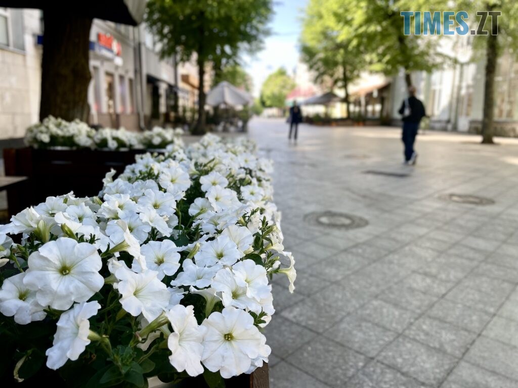 Житомир: весна – у розквіті (ФОТОРЕПОРТАЖ)