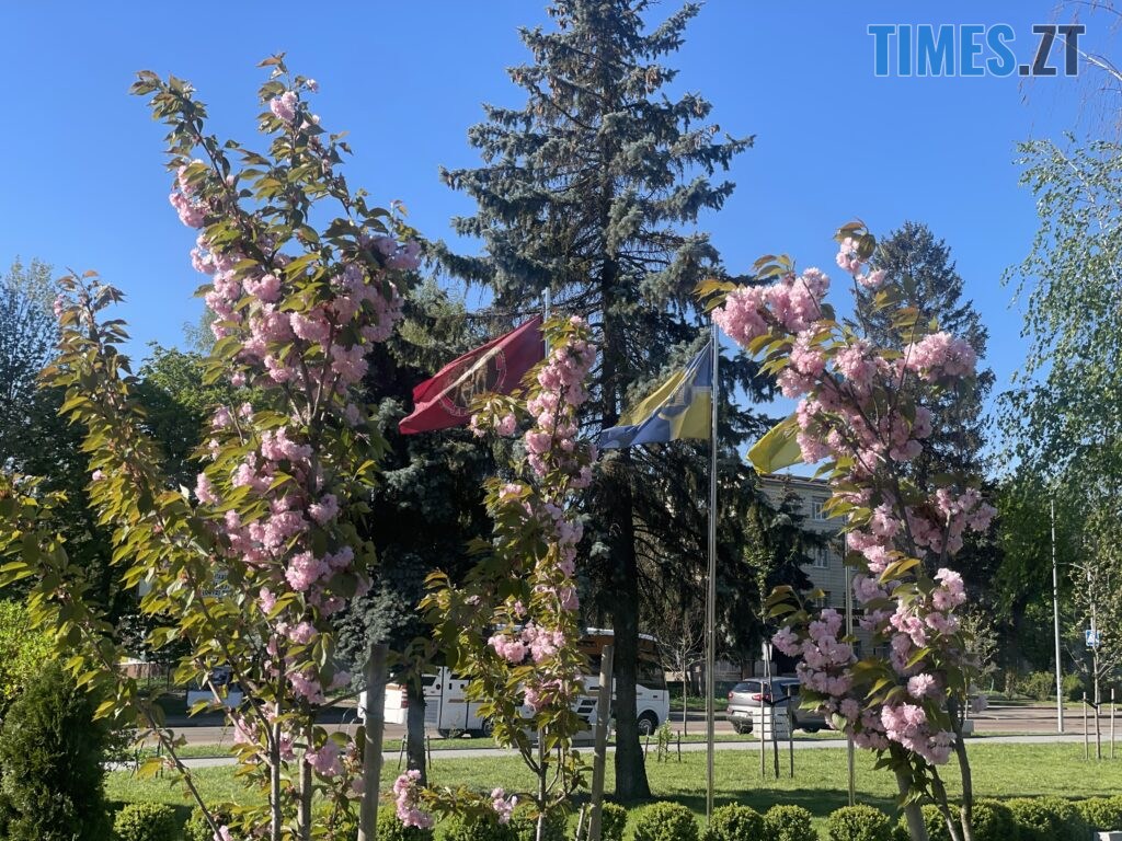 Житомир: весна – у розквіті (ФОТОРЕПОРТАЖ)