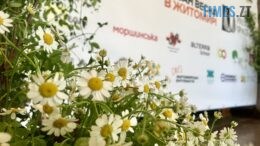 Триває перший міський форум «Урбан весна в Житомирі»