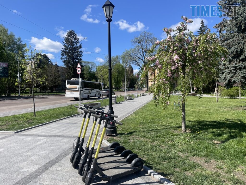Житомир: весна – у розквіті (ФОТОРЕПОРТАЖ)